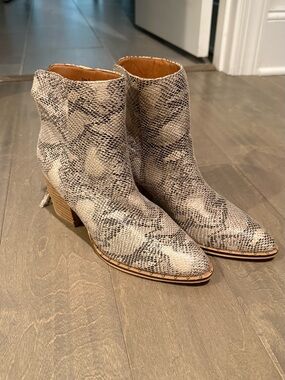 CCOCCI boots snakeskin NEVER WORN